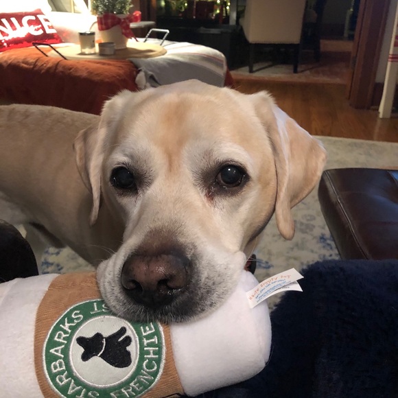 Meet your Posher, Jordan - Picture 1 of 1